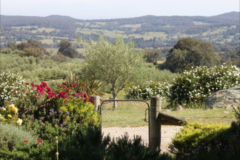 L'Oliveraie - Surfers Gold Coast 1