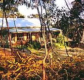 Trestrail Cottage - Surfers Gold Coast