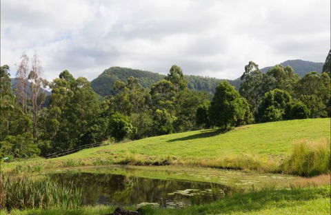 Nimbin Waterfall Retreat - Surfers Gold Coast 3