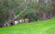 Yalooka Farm - thumb 4