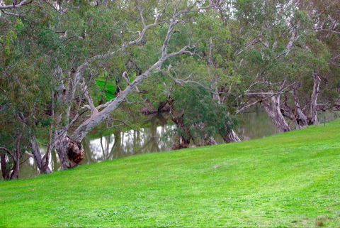 Yalooka Farm - Surfers Gold Coast 4