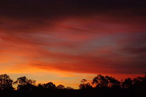 Yalooka Farm - Surfers Gold Coast 5