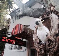 Zing Backpackers Hostel - Surfers Gold Coast