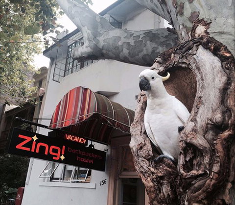 Zing! Backpackers Hostel - Surfers Gold Coast 0