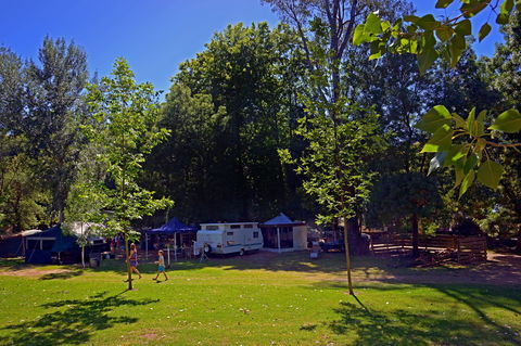 Ardern's Caravan Park Myrtleford - Surfers Gold Coast 0