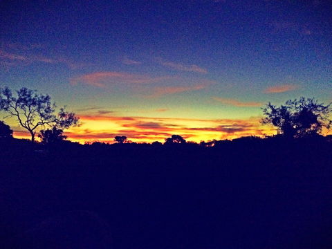 Barkly Homestead - Surfers Gold Coast 7