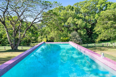 Bellbird - Surfers Gold Coast 1