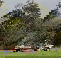 Boronia Farm - Surfers Gold Coast