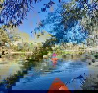 Boynedale Bush Camp - Surfers Gold Coast