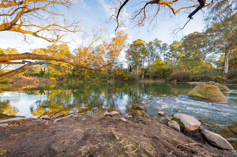 Eildon Riverside Holiday Park - Surfers Gold Coast 8