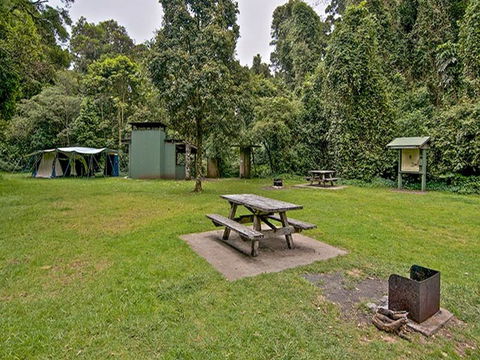 Forest Tops Campground - Surfers Gold Coast 0