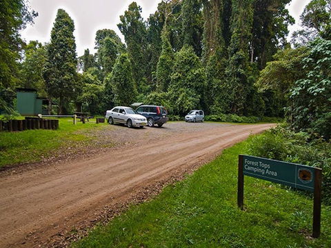 Forest Tops Campground - Surfers Gold Coast 1
