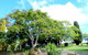 Forest Lodge Highfields - thumb 3