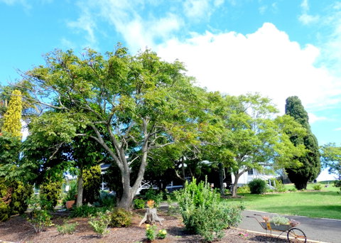 Forest Lodge Highfields - Surfers Gold Coast 3