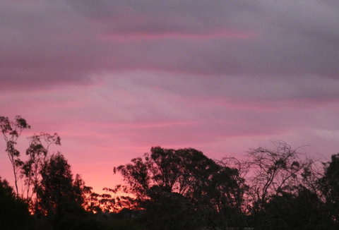 Forest Lodge Highfields - Surfers Gold Coast 4