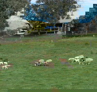 Gaddleen Grove Cottages - Surfers Gold Coast