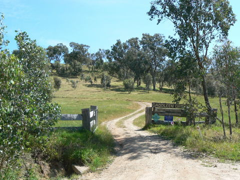 Gaddleen Grove Cottages - Surfers Gold Coast 3