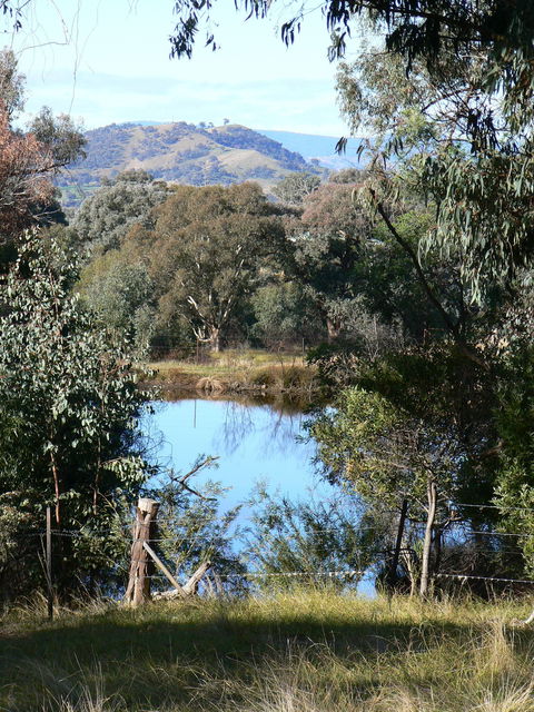 Gaddleen Grove Cottages - Surfers Gold Coast 6