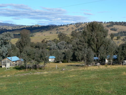 Gaddleen Grove Cottages - Surfers Gold Coast 7