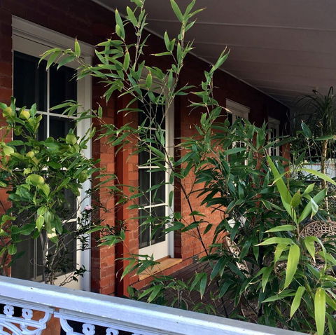Heathcote Contemporary Art Boutique Accommodation - Surfers Gold Coast 6