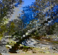 Highfield Farm and Woodland Bush Campsites - Surfers Gold Coast