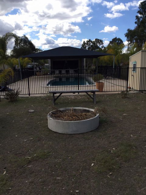 Homestead Caravan Park - Surfers Gold Coast 1