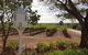 'In The Vines' Guest Cottage - thumb 0