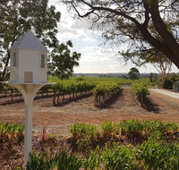 'In The Vines' Guest Cottage - Surfers Gold Coast