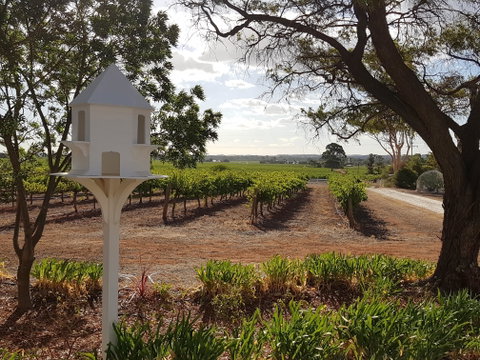 'In The Vines' Guest Cottage - Surfers Gold Coast 0