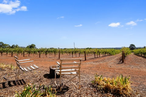 'In The Vines' Guest Cottage - Surfers Gold Coast 8