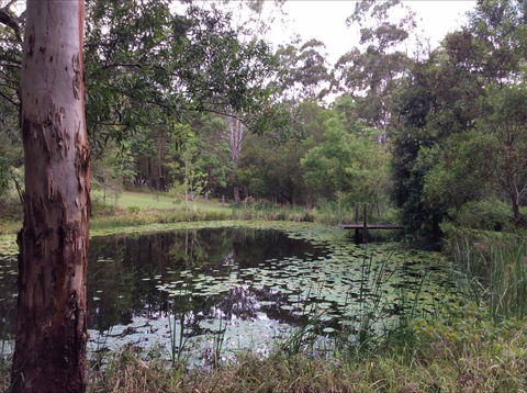 Maleny Country Cottages - Surfers Gold Coast 3