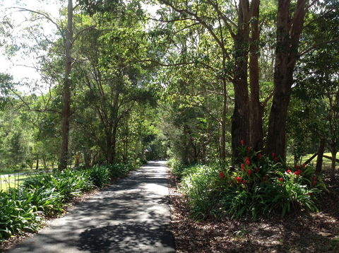 Maleny Country Cottages - Surfers Gold Coast 8