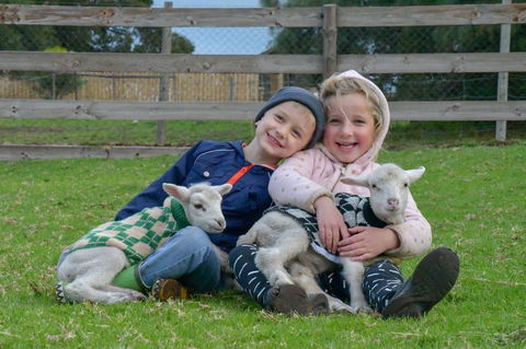 Narnu  Farm (Farm Stay/ School Camp) - Surfers Gold Coast 0