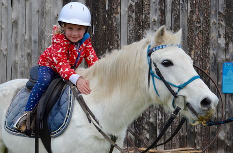 Narnu  Farm (Farm Stay/ School Camp) - Surfers Gold Coast 1