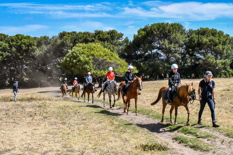 Narnu  Farm (Farm Stay/ School Camp) - Surfers Gold Coast 2