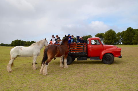 Narnu  Farm (Farm Stay/ School Camp) - Surfers Gold Coast 3