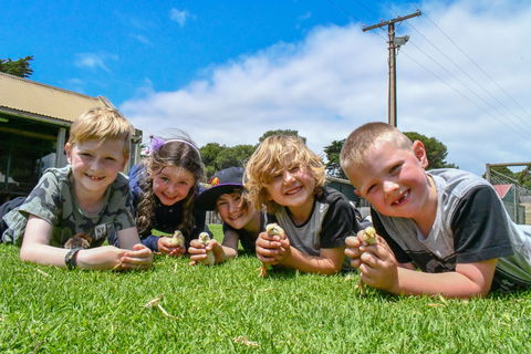 Narnu  Farm (Farm Stay/ School Camp) - Surfers Gold Coast 7