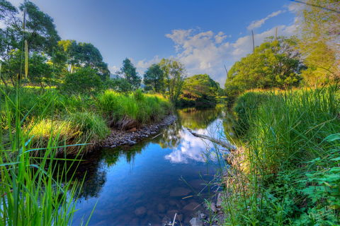 Terania Green Boutique Eco Cottages - Surfers Gold Coast 3