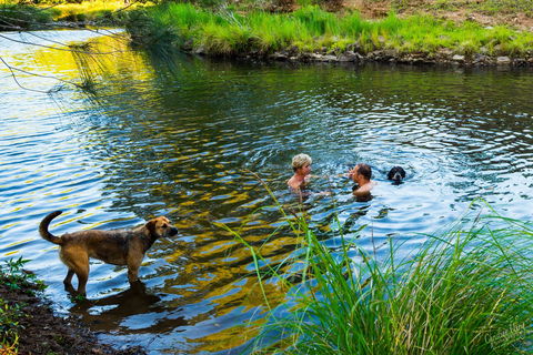 Terania Green Boutique Eco Cottages - Surfers Gold Coast 4