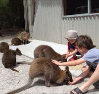 The Patriarch Wildlife Sanctuary Camping Ground - Surfers Gold Coast