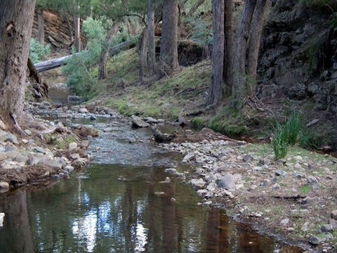 The Sink Campground - Surfers Gold Coast 1