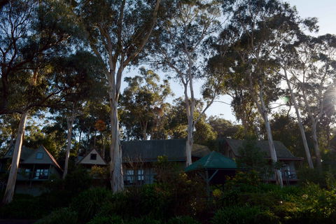 The Great Ocean Road Cottages And Backpackers - Surfers Gold Coast 2
