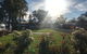 Wine Country Tourist Park - thumb 2