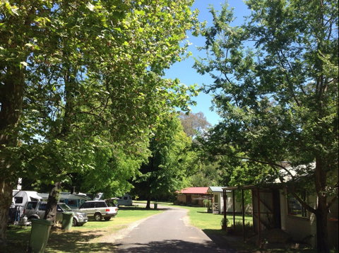 Yackandandah Holiday Park - Surfers Gold Coast 0