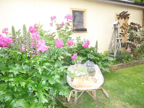 Aggies Bed And Breakfast - Surfers Gold Coast 2