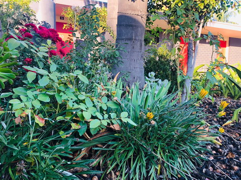 Albury Garden Court Motel - Surfers Gold Coast 1