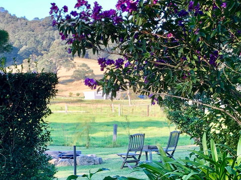 Arcadia Cottages At Cambewarra - Surfers Gold Coast 5