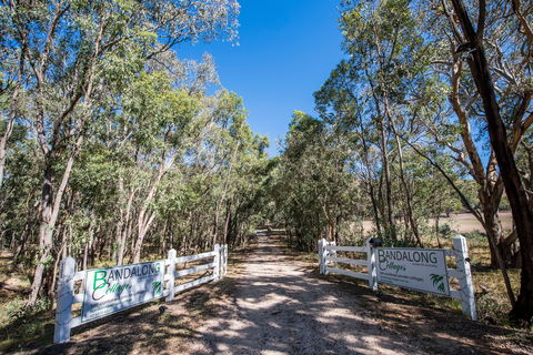 Bandalong Cottages - Surfers Gold Coast 0