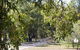 Bandalong Cottages - thumb 9