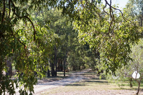 Bandalong Cottages - Surfers Gold Coast 9